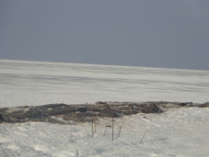 Figure 2.  Frozen Lake Erie.  Is this the artic?  No, it’s Cleveland!