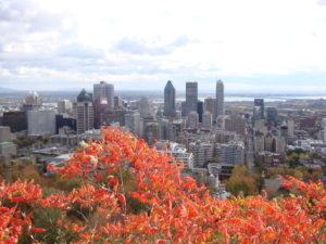 Figure 1. Montreal, Canada in November during ICHG 2011.