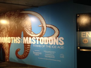 Figure 1.  Mammoths and Mastodons: Titans of the Ice Age at the Cleveland Museum of Natural History through April 26, 2015.