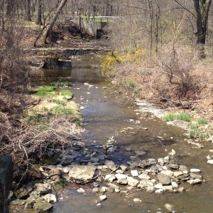 Figure 1.  Doan Brook watershed (Spring 2015).