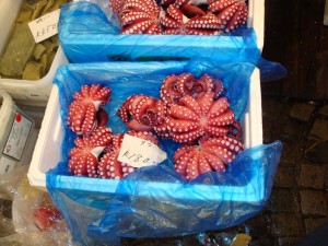 Figure 2.  Octopus for sale at the Tsukiji fish market in Tokyo, Japan (2009).  