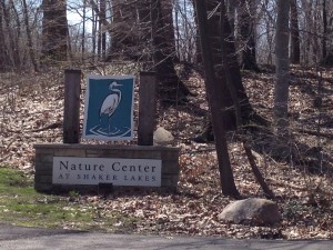 Figure 7.  The Nature Center at Shaker Lakes.  An example of an interstate exclosure (Spring 2015).