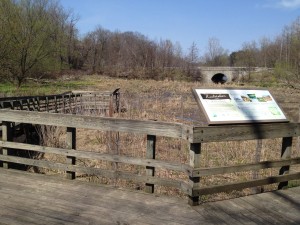 Figure 8.  The All People’s Trail.  This trail is an all-access elevated boardwalk designed for an up-close look at marshes and restoration efforts.