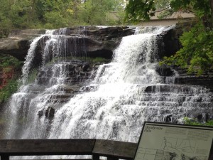 Figure.  Brandywine Falls in Cuyahoga Valley National Park (2014).