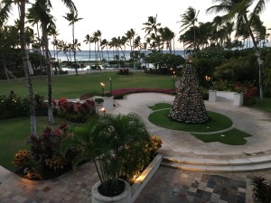 Figure 4. The Fairmont Orchid (PSB 2016) sans Sarah Laper. Sarah, you were with us in spirit (but we know you wished you were there in person…).