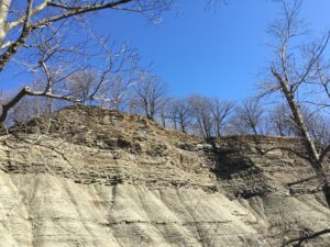 Figure 2. The blue-gray siltstone of Euclid Creek Reservation.