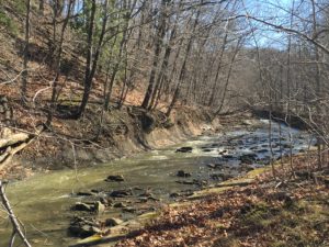 Figure 1. Euclid Creek Reservation: a Euclid Creek runs through it.