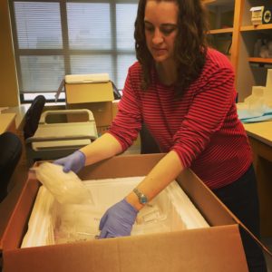 Figure 13. Dr. Kristy Miskimen, CWRU senior research associate, packing up the NHANES samples (February 2016).