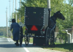 Figure 2.  Commuting to work, Amish-style!  An Amish women using a horse-and-buggy to get around Geauga county in October 2015.  Note that the Amish request that photographs not show their face out of respect for their religious beliefs. 